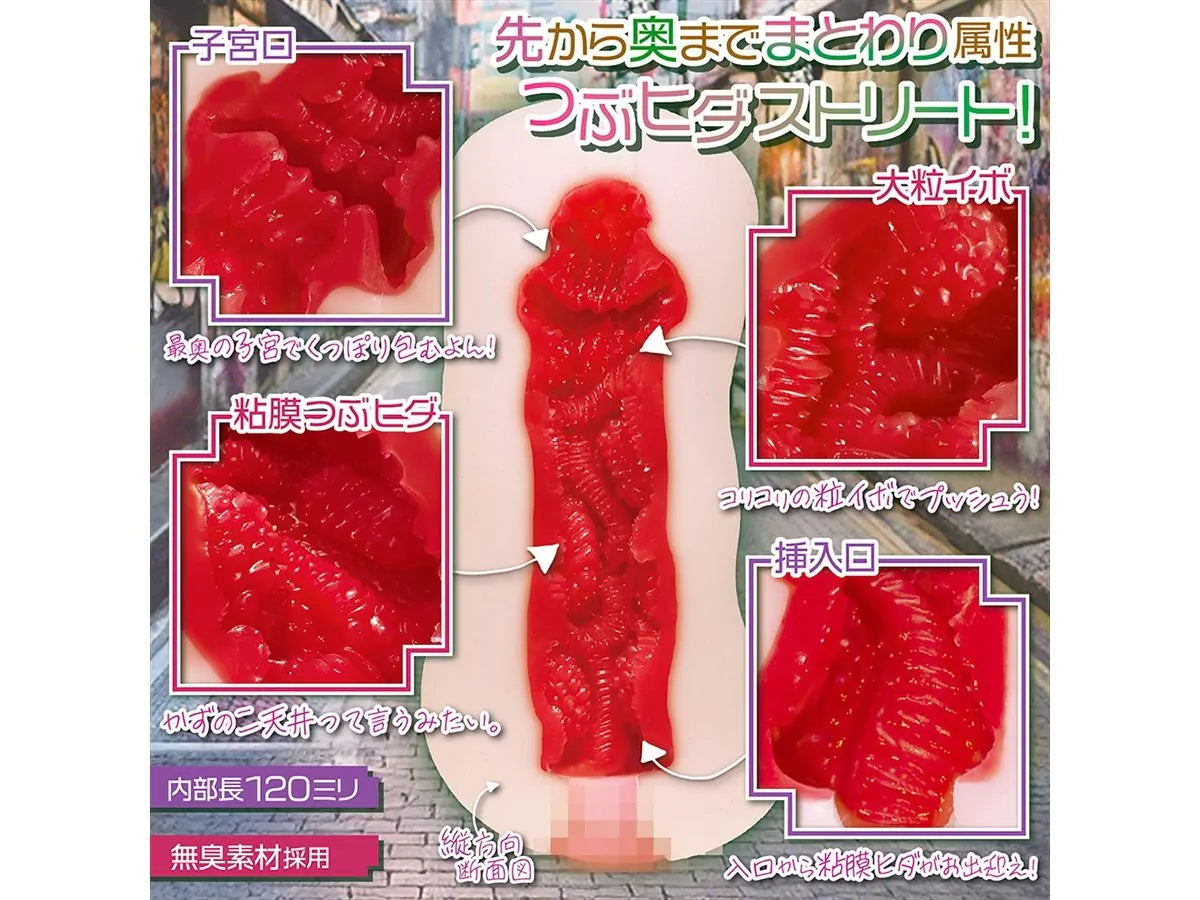 Magic Eyes - Aoharu Enchant Case. 01 Miipon