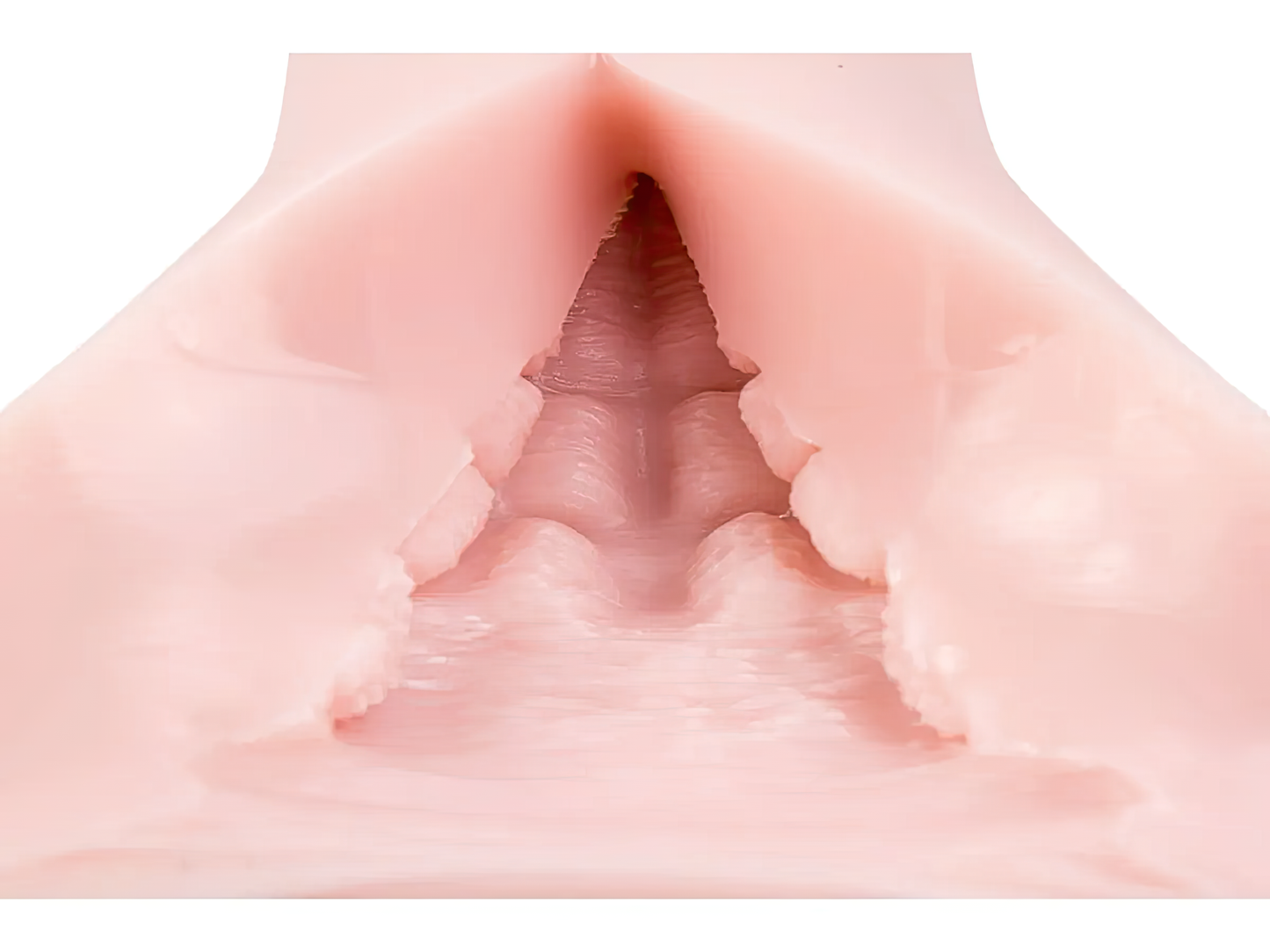 Tomax - Muses Fillo Soft