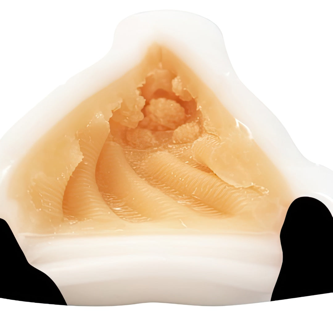 Hot Powers - Holy Girl Hunt Feast Snake Girl Xuanwu Squeeze You Tight Onahole