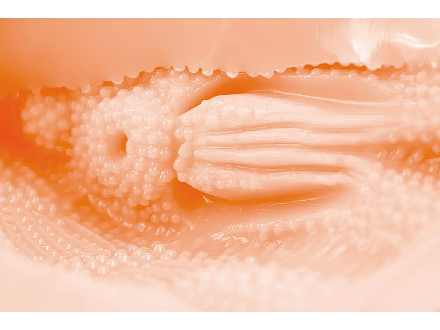 Tomax - Venus Clone Rich Soft