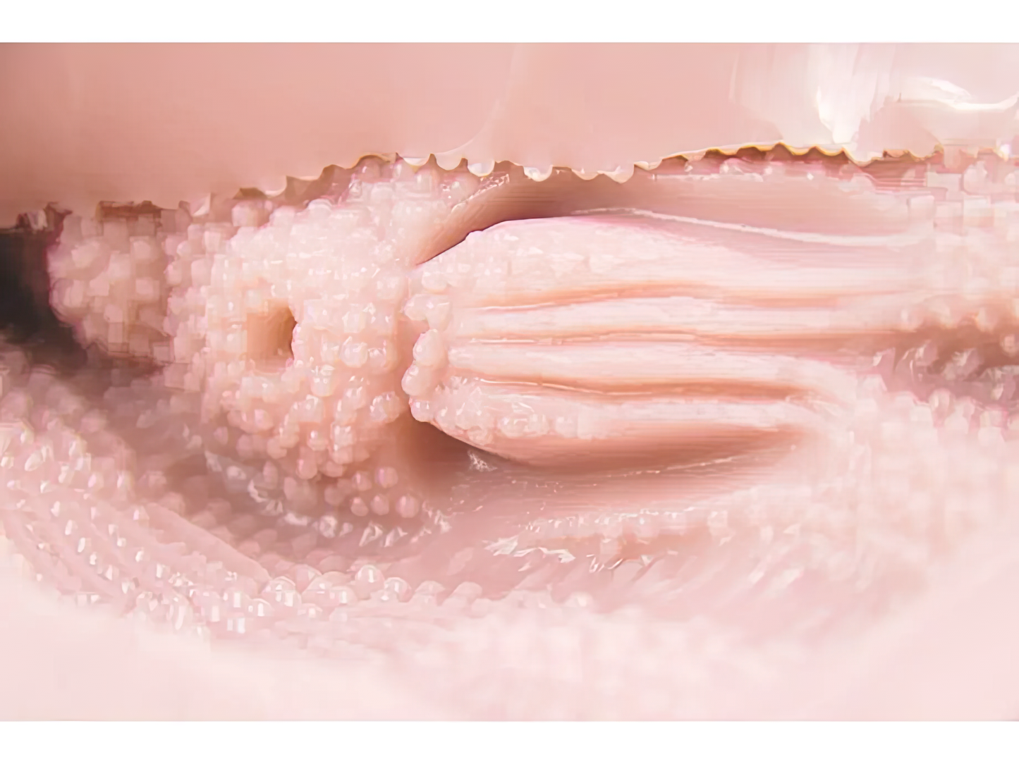 Tomax - Venus Clone Soft