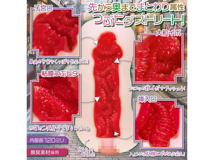 Magic Eyes - Aoharu Enchant Case. 01 Miipon