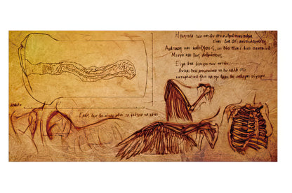 Tomax - Muses Kokalo Rich Soft