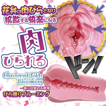Ride Japan - Biramori Blooming